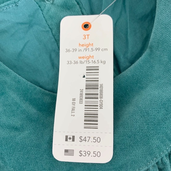 Gymboree Baby Sleeveless Teal Velvet Dress - Picture 5 of 7